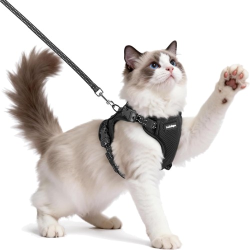 Katzengeschirr katzenhalsband - katzengeschirr,