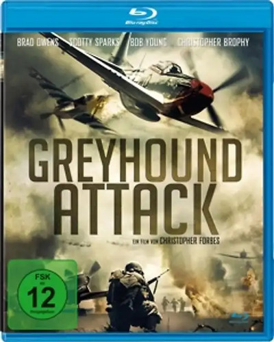 Greyhound attack - greyhound,
