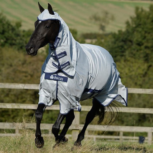 Bucas buzz off - x, light
