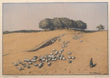 Hans Richard von Volkmann. Gänse in den Stoppeln. Große Farblithographie.