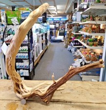 Poliertes Wurzelholz