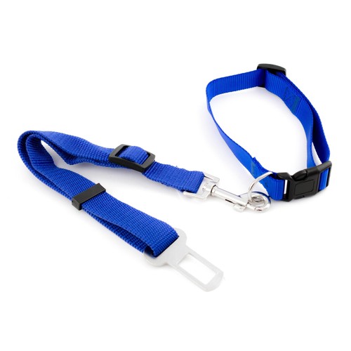 Set hundehalsband - set,
