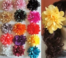 Haarblume Haarblüte