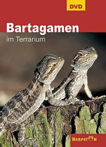 Bartagamen terrarium - im,