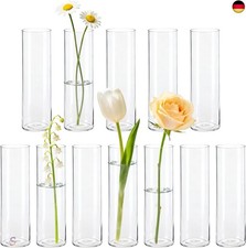 BTSD-home 12 Stück Zylinder