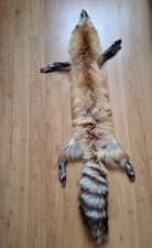 Fuchs Fox Fell Fuchsfell