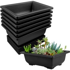 Bonsai Schale mit Tabletts 6