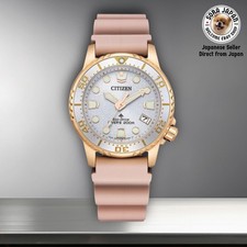 Neu Citizen Promaster