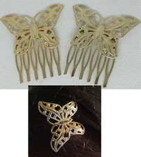 2 Haar Kamm Kämme Dutt