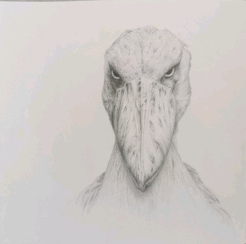 Graphitzeichnung original - graphitzeichnung,,