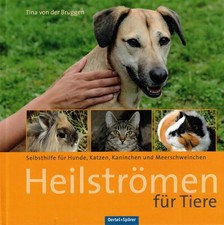 Brüggen, Heilströmen für