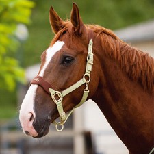 Equi-Theme "Luxus" Stallhalfter Halfter mit Fleece II Wahl