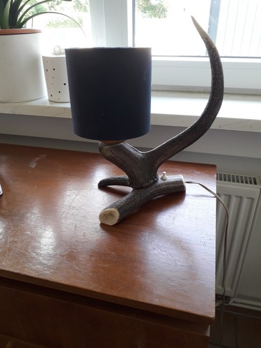 Antike geweih lampe - antike, tischlampe