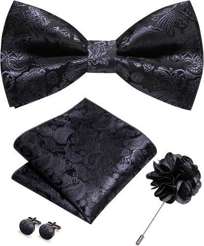 Herren paisley fliegen set - paisley,