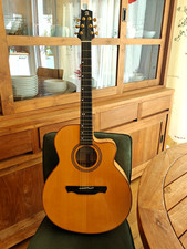 Akustikgitarre Alhambra J-4 CW