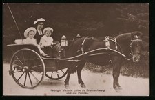 Herzogin Victoria Louise und die Prinzen in einer Kutsche, Ansichtskarte 