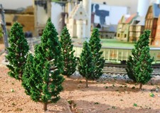 50 dunkelgrüne Tannen
