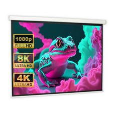 DELUXX Advanced Beamer Rollo Leinwand 200 x 117 cm 16:9 LCD DLP LED 3D / 16254