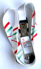 FIS Alpine Ski WM Schladming