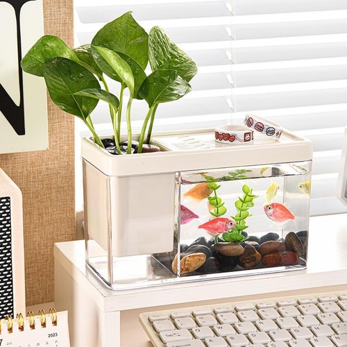 Mini aquarium desktop deko - aquarium,