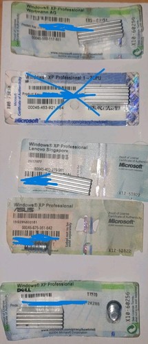 Windows pro win xp - xp,