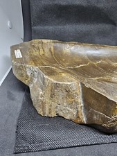 Versteinertes