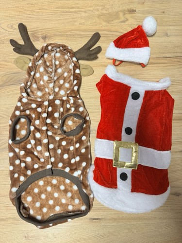 Haustier festliche - haustier,