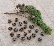 50x Zypressen Zapfen Pinus Cypressen Natur Weihnachten Advent Basteln DIY Deko