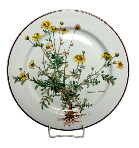 Speiseteller villeroy boch - &,