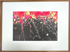 Walasse Ting Lithographie Feuerwerk 1974 großes Kunstwerk signiert Druck...