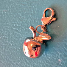 Energetix Charmanhänger