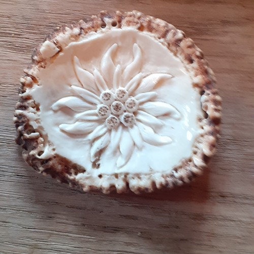 Hirschhornrose geschnitzt - hirschhornrose,