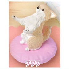 Dogs Take Care 4 Chihuahua Ale