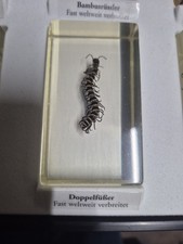 Doppelfüsser Mini  Biester In