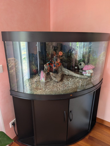 Juwel komplettaquarium - juwel,