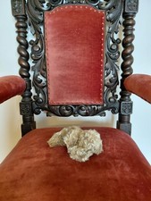 Original Steiff Teddybär