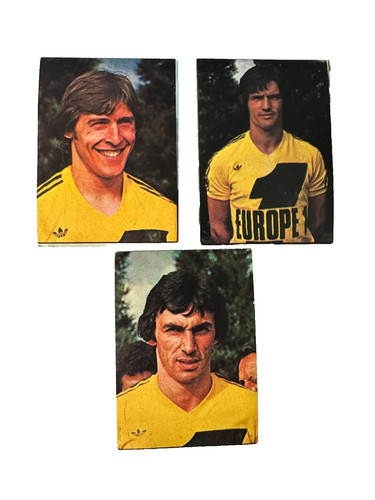 Vintage nantes 1979 sticker - vintage, fc