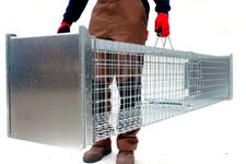 Fuchsfalle Waschbärfalle