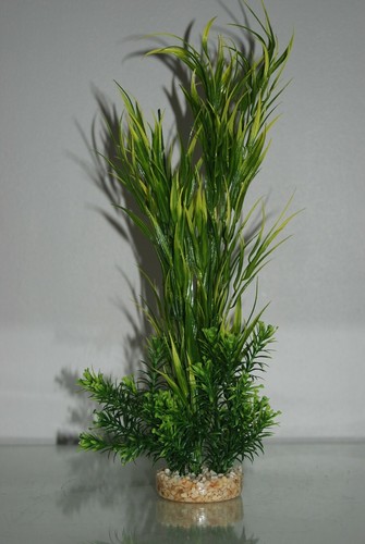 Aquarium wild bergpflanze - aquarium,