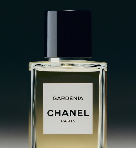 Gardénia gardenia les - gardÉnia., gardenia.