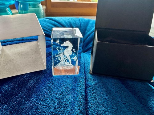 Glas seepferdchen laser - glas, 3d