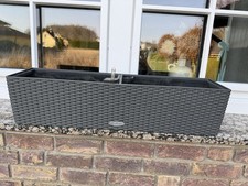 Lechuza Balconera Cottage