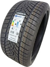 Winterreifen 275/35 R19 100V