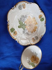 Tasse Und Teller, Hutschenreuther Selb, 6311  15