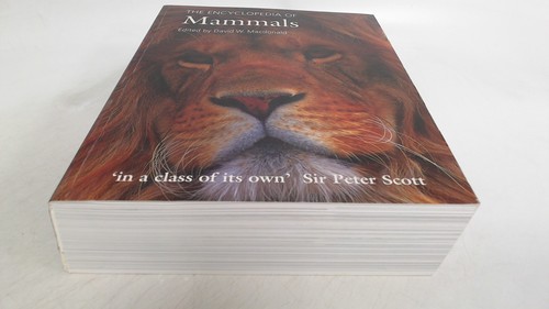 The encyclopedia of - encyclopedia,