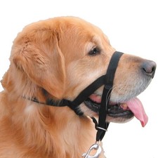 Nobby® Hunde Erziehungs- und