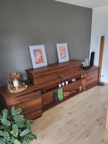 Fernsehschrank board inkl - tv,