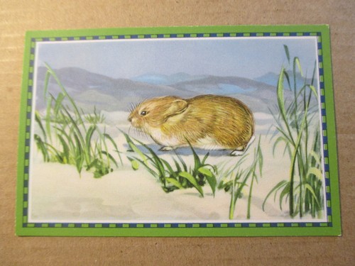 Bild chlorodont - 1.bild,