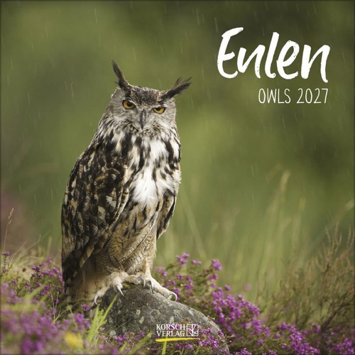 Eulen 2027 broschürenkalender - eulen,