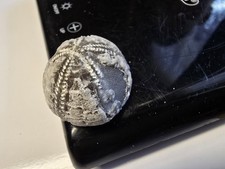 Seeigel Galerites Wasserwaage Steinkern Versteinerung 